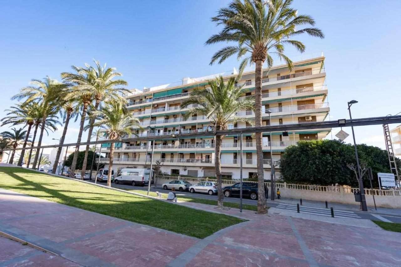 אל קאמפיו Apartamento Gallo Rojo מראה חיצוני תמונה